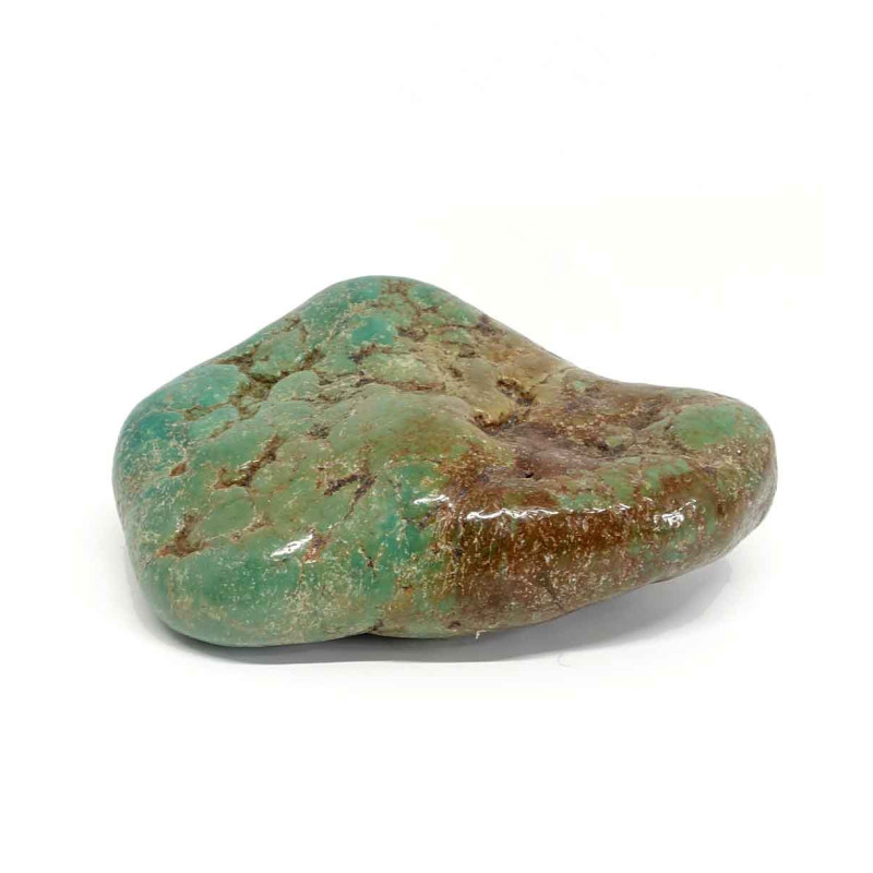 Turquoise véritable USA