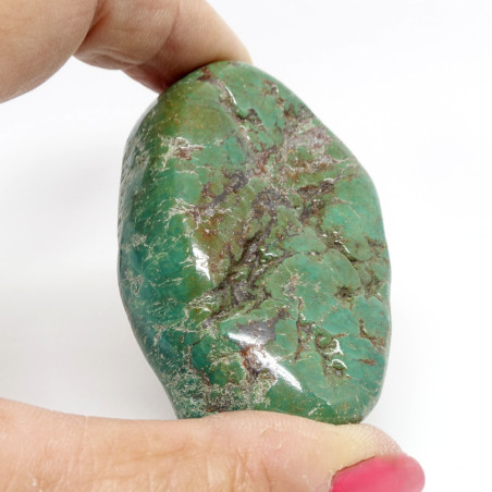 Véritable Turquoise EN PROVENANCE des mines d'USA, Galet poli