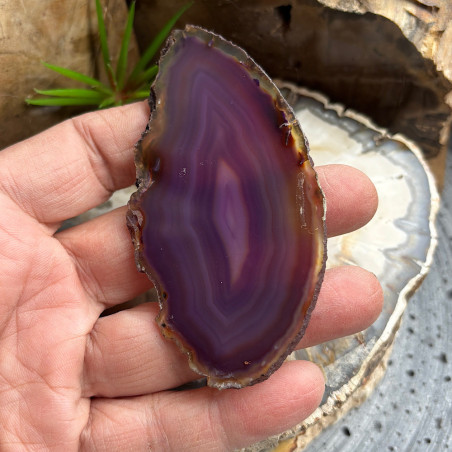 Lot de 12 Tranches d’agate fines