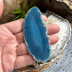 Lot de 12 Tranches d’agate fines