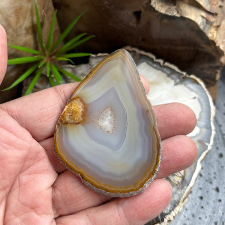 Lot de 12 Tranches d’agate fines