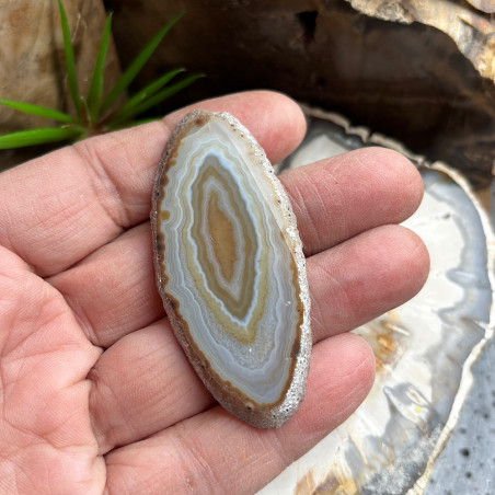 Lot de 12 Tranches d’agate fines