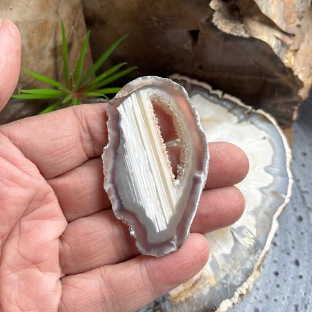 Lot de 12 Tranches d’agate fines