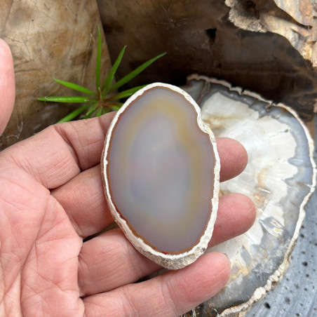 Lot de 12 Tranches d’agate fines