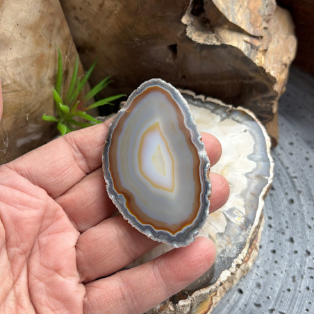 Lot de 12 Tranches d’agate fines