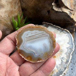 Lot de 12 Tranches d’agate fines