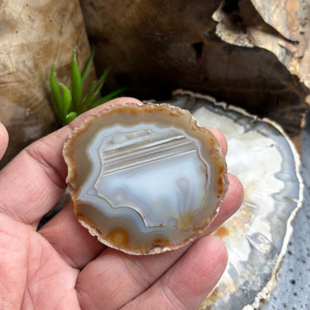 Lot de 12 Tranches d’agate fines