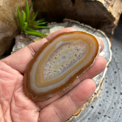 Lot de 12 Tranches d’agate fines