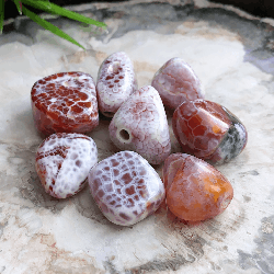Agate de feu, 8 perles