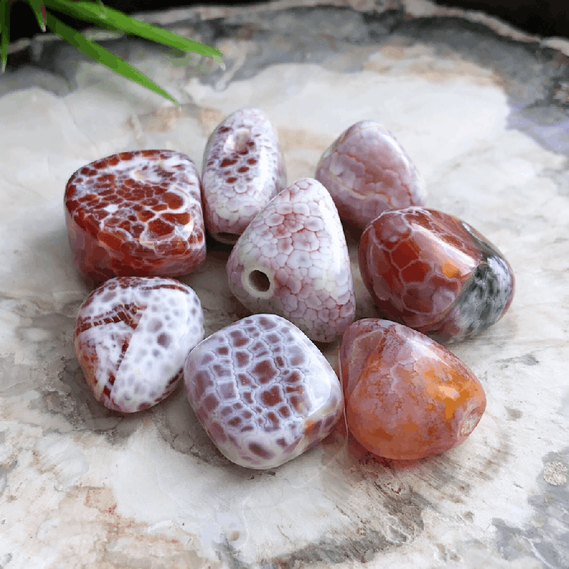 Agate de feu, 8 perles