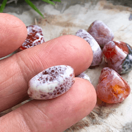 Agate de feu, 8 perles