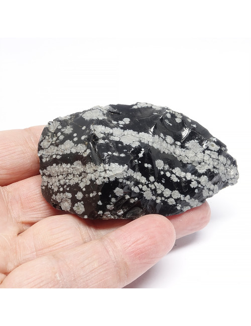 Morceau brut du minéral obsidienne neige