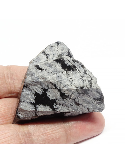 Morceau brut du minéral obsidienne neige