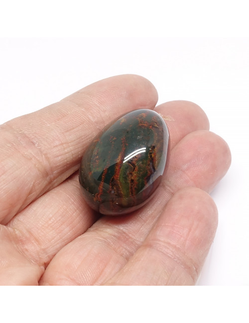 Le jaspe héliothrope est un protecteur, un guérisseur et un talisman à tenir fermement tout au long de la vie.