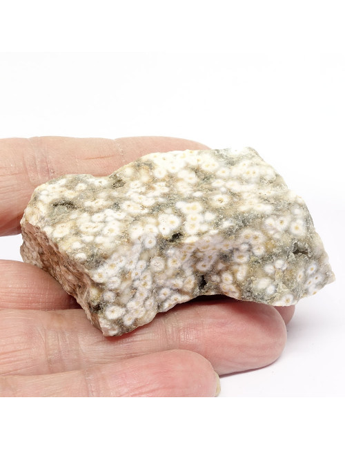 Le jaspe océan est une pierre du renouveau et du changement