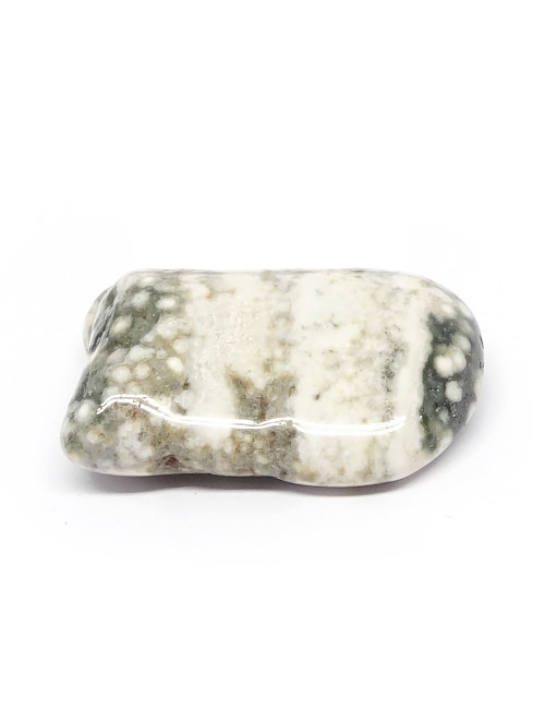 Jaspe océan ou orbiculaire