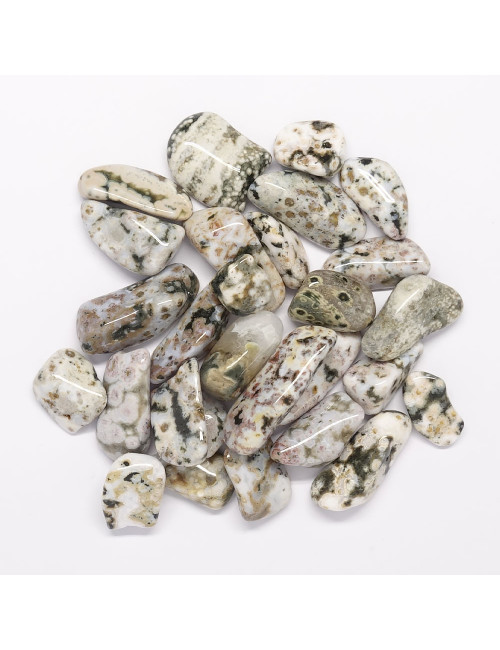 Jaspe océan ou orbiculaire