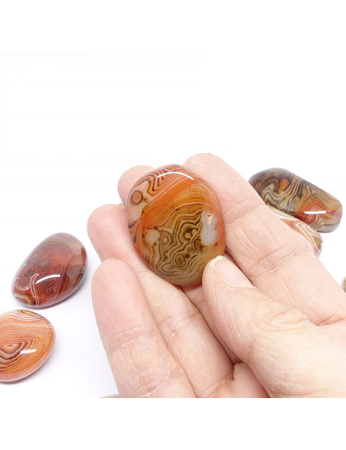 Agate , Galet plat Taille M