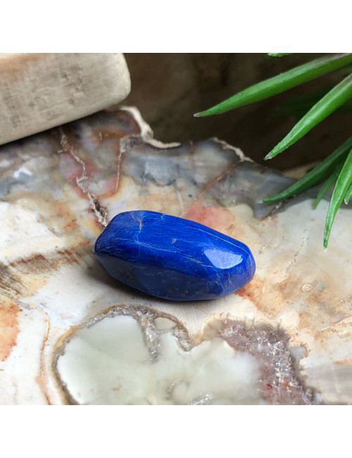 Pierre roulée en Lapis lazuli taille S
