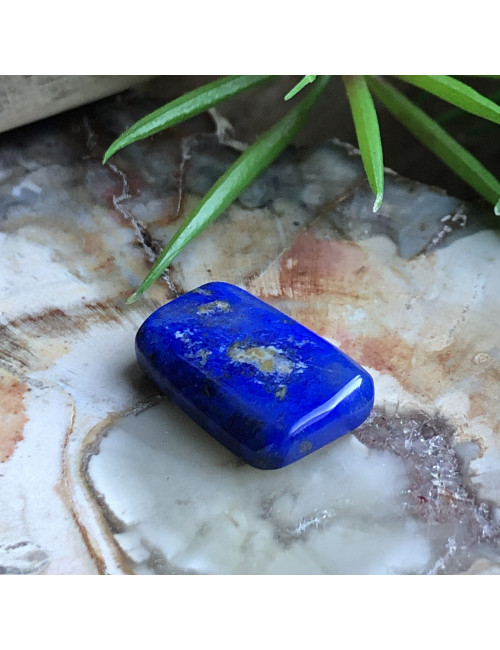 Taille S - Agit sur les yeux.
Améliore la vision nocturne.
Atténue la fièvre.