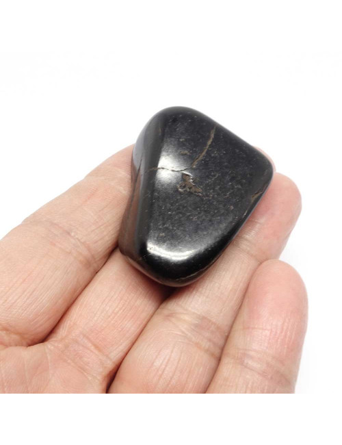 Gros galet de pierre shungite