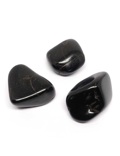 Gros galet de pierre shungite