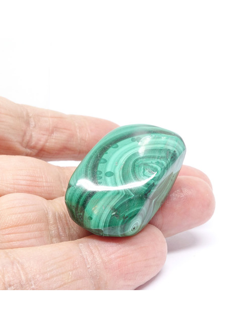 Galet de malachite. La pierre malachite pour votre chakra du coeur