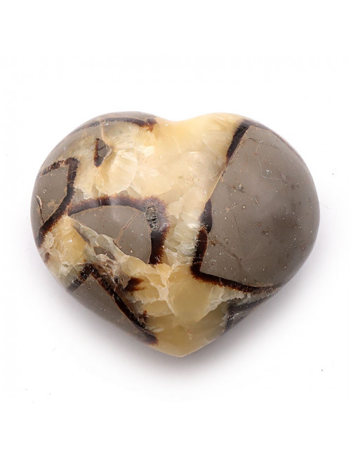 Septaria, Coeur bombé 70 à 80 mm