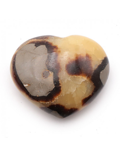 Septaria, Coeur bombé 70 à 80 mm