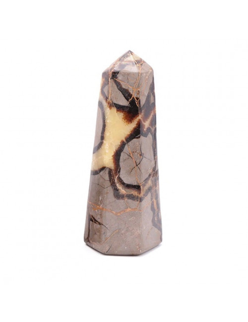 Septaria, Pointe 170 mm