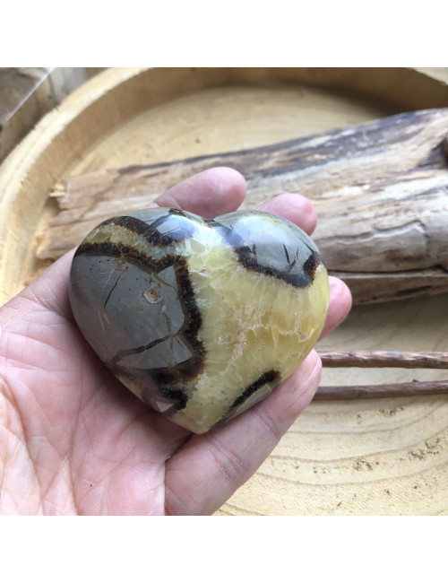 Septaria, Coeur bombé 80 à 90 mm