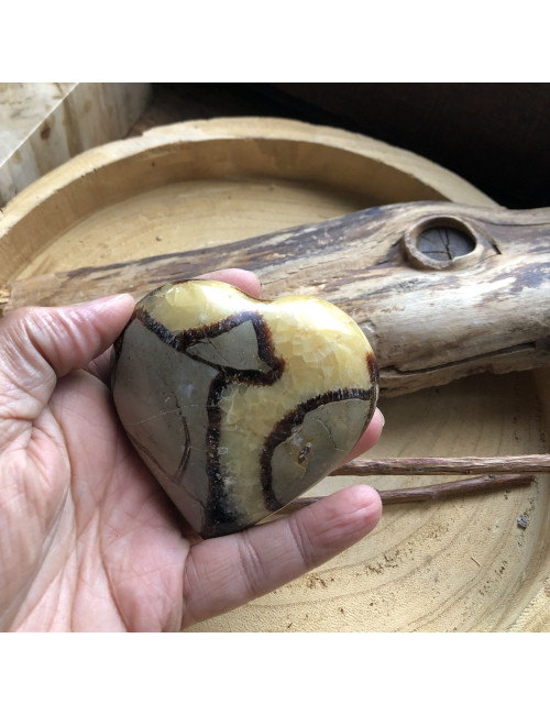 Septaria, Coeur bombé 70 à 80 mm