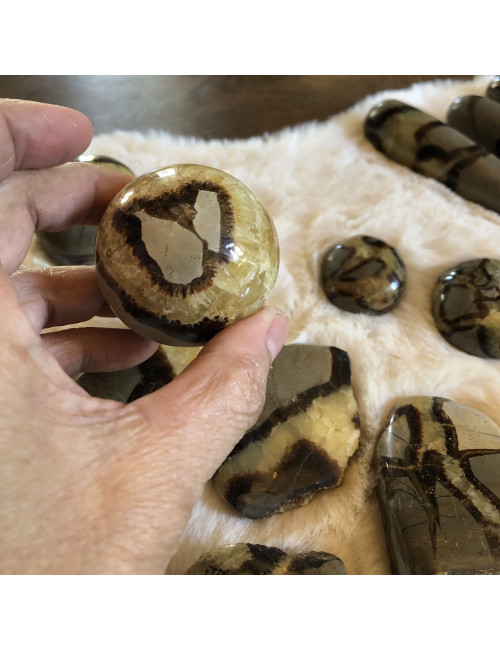 Septaria, Sphère 50 mm