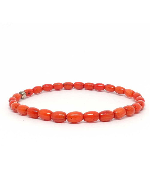 Corail bambou Corail bambou