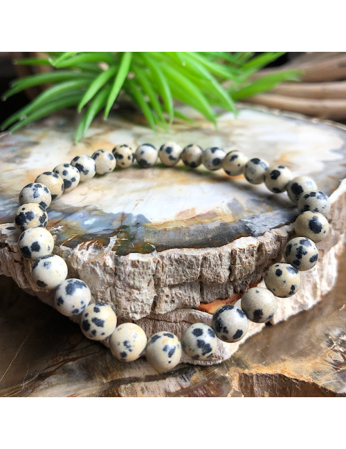 Le jaspe dalmatien est une pierre d’équilibre et d’harmonie