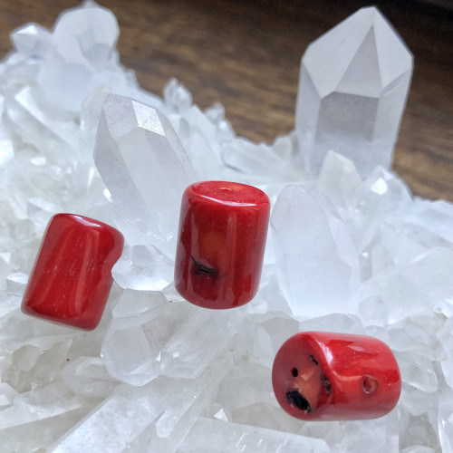 Perles cylindriques en corail gorgone