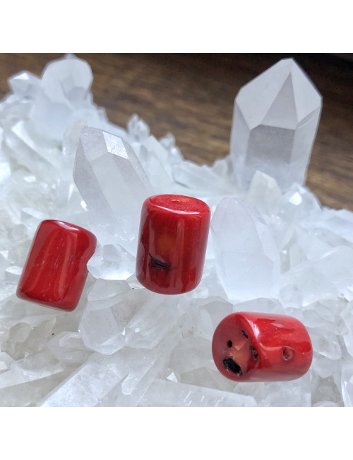 Perles cylindriques en corail gorgone