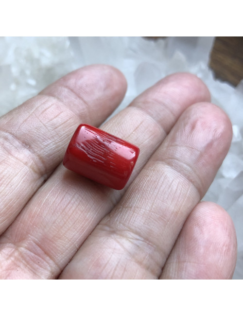 Perles cylindriques en corail gorgone