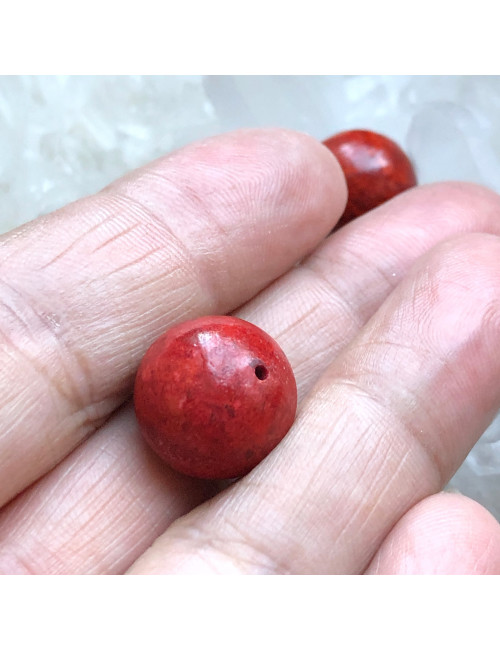 Perles 16 mm en corail gorgone