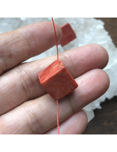 Perle en corail gorgone