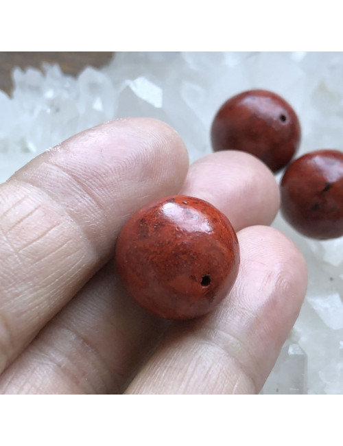 Perles en corail gorgone diamètre 18 mm