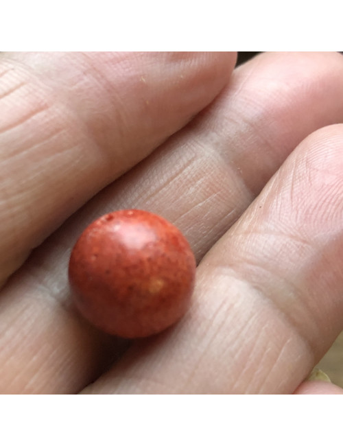 Perles en corail gorgone diamètre de 12 mm