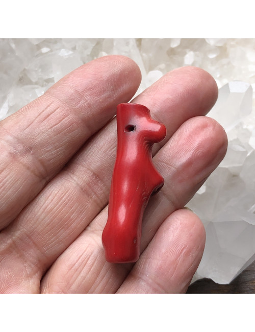 Perles en corail bambou branche