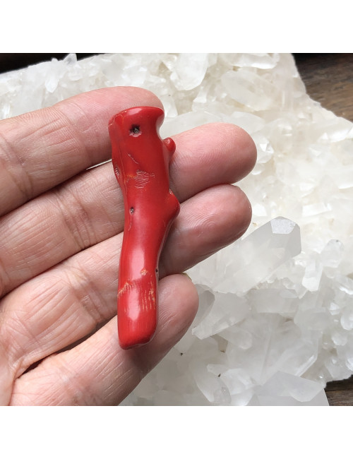 Perles en corail bambou branche