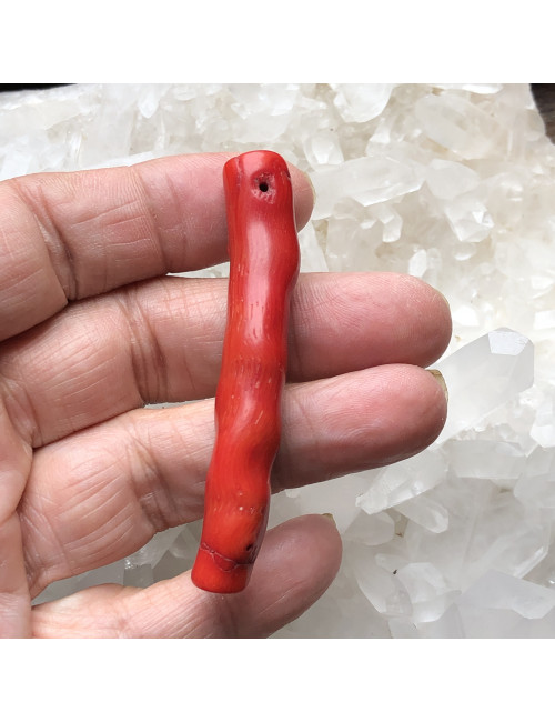 Perles en corail bambou branche