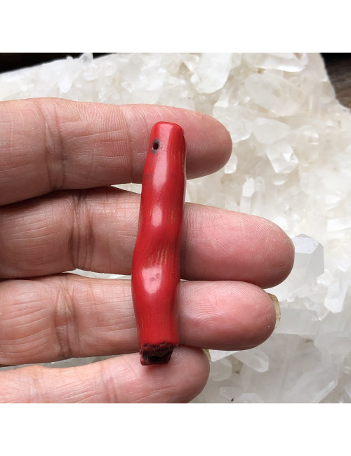 Perles en corail bambou branche