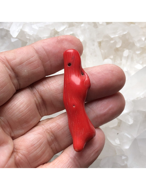 Perles en corail bambou branche