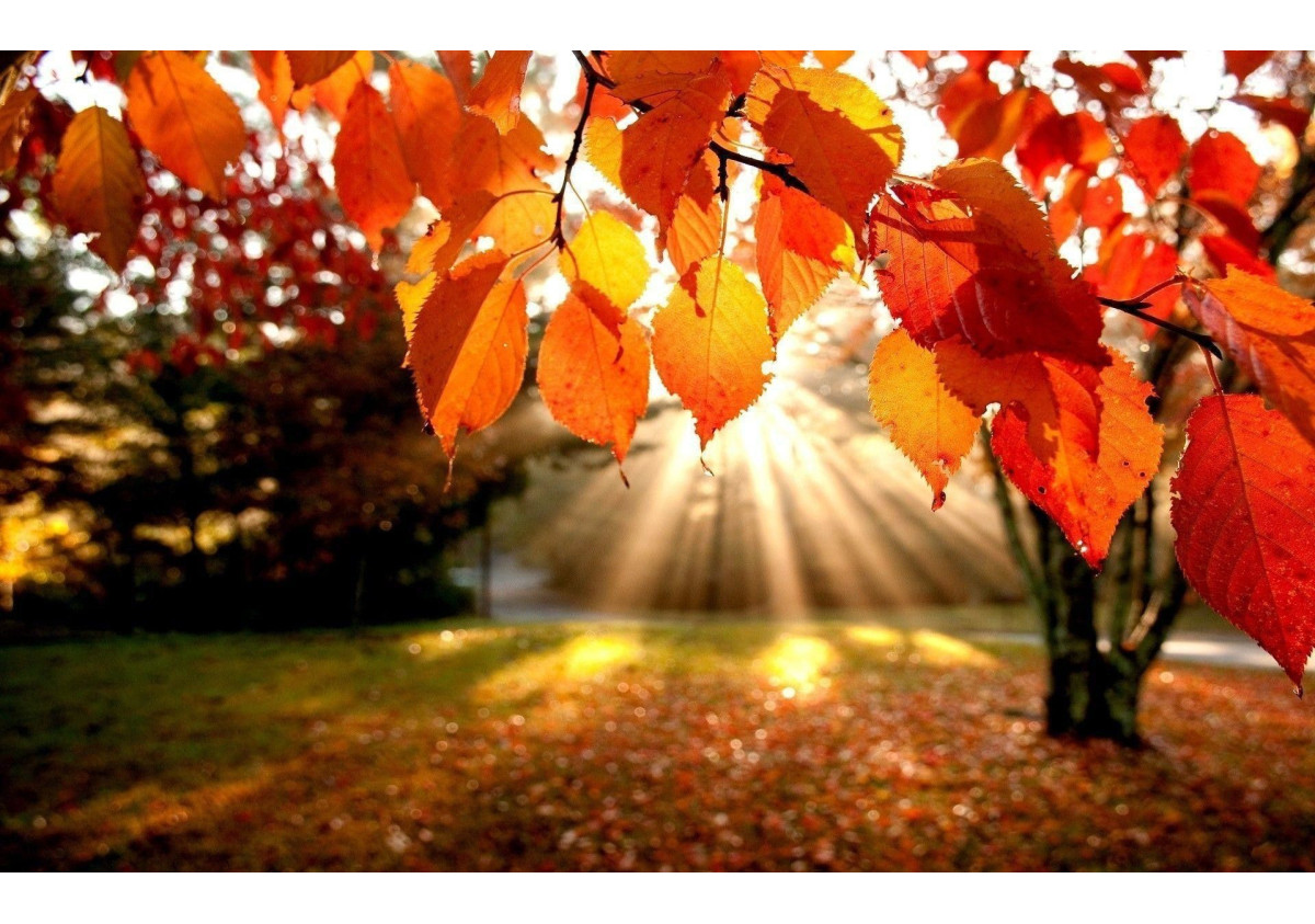 Quelles pierres pour un passage en douceur dans la saison automnale ?