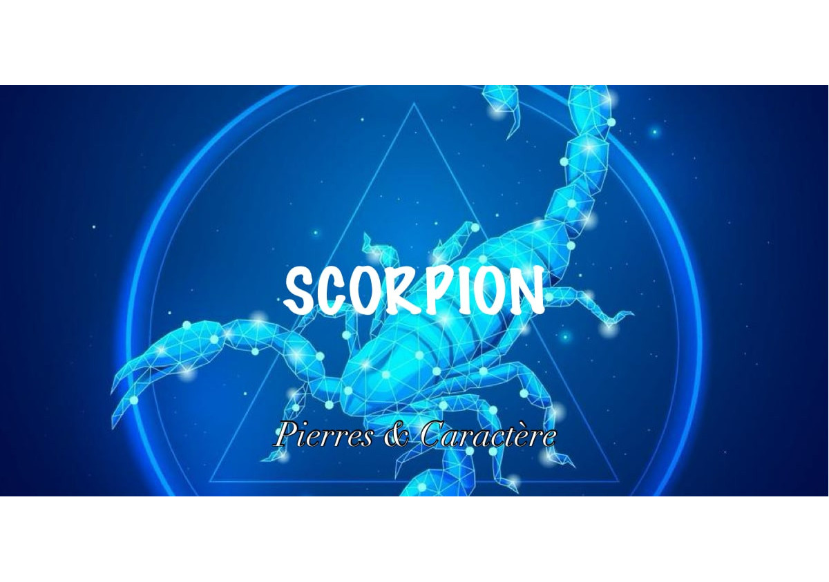 Découvrez le scorpion et ses pierres